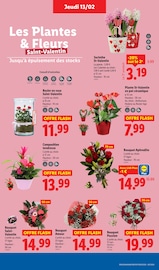 Fleurs Angebote im Prospekt "Moins Cher !" von Lidl auf Seite 35