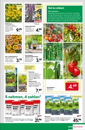 Ähnliche Angebote wie Mutterboden im Prospekt "Hier bin ich gern" auf Seite 15 von BayWa Bau- und Gartenmärkte in Ulm