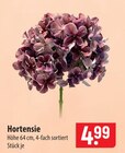 Aktuelles Hortensie Angebot bei famila Nordost in Lübeck ab 4,99 €