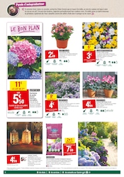 Hortensia Angebote im Prospekt "JARDIN D'AUTOMNE" von Gamm vert auf Seite 6