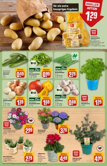 Gemüse im aktuellen REWE Prospekt (Ludwigshafen (Rhein)) Gemüse im REWE Prospekt "Dein Markt" mit 26 Seiten (Ludwigshafen (Rhein))
