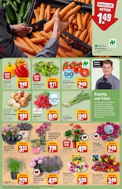 Aktueller REWE Prospekt mit Dekoration, "Dein Markt", Seite 9