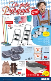 Besen Angebot im aktuellen ROLLER Prospekt auf Seite 19