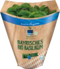 Bio-Basilikum bei EDEKA im Lappersdorf Prospekt für 1,29 €