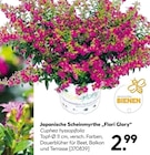 Hellweg Staßfurt Prospekt mit  im Angebot für 2,99 €