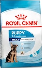 Croquettes + pack de pâtée pour chiot - ROYAL CANIN - Botanic à Caen Croquettes + pack de pâtée pour chiot - ROYAL CANIN en promo chez Botanic Caen à 63,99 €