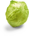 Eisbergsalat im Angebot bei Netto Marken-Discount in Velbert Eisbergsalat Angebote bei Netto Marken-Discount Velbert für 0,88 €