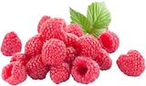 Himbeeren im Angebot bei REWE in Bottrop Himbeeren Angebote bei REWE Bottrop für 3,79 €
