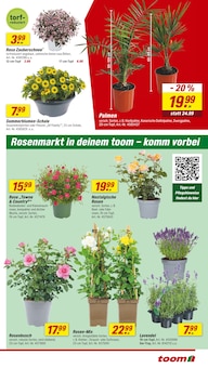 Lavendel im aktuellen toom Baumarkt Prospekt (Berlin) Lavendel im toom Baumarkt Prospekt "Respekt, wer's selber macht." mit 20 Seiten (Berlin)