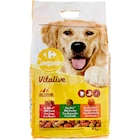 Croquettes pour Grand chien - CARREFOUR COMPANINO VITALIVE en promo chez Carrefour Market Brest à 6,59 €