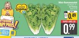 Mini-Romanasalat im EDEKA Prospekt Mini-Romanasalat von im aktuellen EDEKA Prospekt für 0,49 €