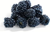 Brombeeren im Netto Marken-Discount Prospekt Brombeeren von Driscoll's im aktuellen Netto Marken-Discount Prospekt für 1,49 €