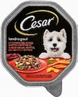 Hundenahrung von Cesar für 0,75 € bei Kaufland im Angebot Hundenahrung von Cesar im aktuellen Kaufland Prospekt