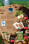 Bio Pilze Bio Pilze