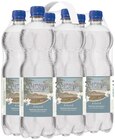 Mineralwasser im Angebot bei REWE in Bad Salzuflen Mineralwasser Angebote von Warburger Waldquell bei REWE Bad Salzuflen für 1,50 €