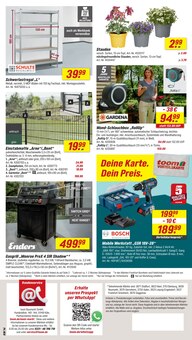 Blumen im toom Baumarkt Prospekt "Respekt, wer's selber macht." mit 30 Seiten (Oberhausen)