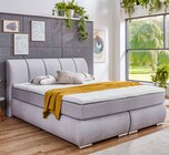 Boxspringbett im Polstermöbel Fischer Prospekt Boxspringbett im aktuellen Polstermöbel Fischer Prospekt für 849,00 €