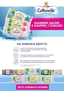 Aktueller Cottonelle Prospekt "Saubere Sache: 2 kaufen, 1 zahlen" Seite 1 von 1 Seite für Ingolstadt
