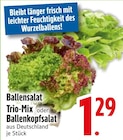 Ballensalat Trio-Mix im EDEKA Prospekt Ballensalat Trio-Mix von im aktuellen EDEKA Prospekt für 1,29 €