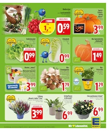 Blumen im aktuellen EDEKA Prospekt (Augsburg) Blumen im EDEKA Prospekt "Wir lieben Lebensmittel." mit 32 Seiten (Augsburg)