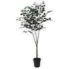Topfpflanze, künstlich drinnen/draußen Eukalyptus im IKEA Prospekt Topfpflanze, künstlich drinnen/draußen Eukalyptus von FEJKA im aktuellen IKEA Prospekt für 39,99 €