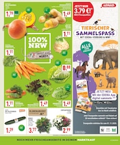 Kohle im Marktkauf Prospekt in Hagen Aktueller Marktkauf Prospekt mit Kohle, "Aktuelle Angebote", Seite 3