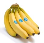 Bananen Angebote von Chiquita bei REWE Rodgau für 1,99 €