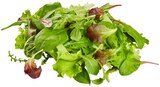 Wildkräuter Salat im Angebot bei REWE in Hof Wildkräuter Salat Angebote von REWE Beste Wahl bei REWE Hof für 1,11 €
