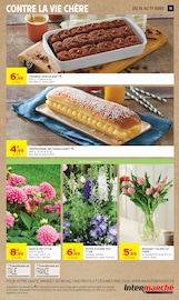 Promos Plante Verte dans le catalogue "-50% DE REMISE IMMÉDIATE SUR LE 2ÈME" de Intermarché Hyper Plante Verte en promo dans le catalogue Intermarché Hyper à la page 15