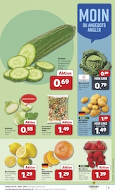 Aktueller combi Prospekt mit Kürbis, "Markt - Angebote", Seite 3