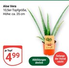 Aloe Vera im Angebot bei GLOBUS in Erfurt Aloe Vera Angebote bei GLOBUS Erfurt für 4,99 €