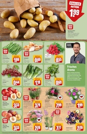 Orchidee im REWE Prospekt in Heidelberg Aktueller REWE Prospekt mit Orchidee, "Dein Markt", Seite 7