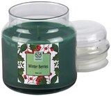 Winter Berries im Angebot bei REWE in Herne Winter Berries Angebote bei REWE Herne für 5,99 €