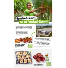 Äpfel im Marktkauf Prospekt "Aktuelle Angebote" mit 81 Seiten (Stuttgart)