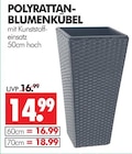 Aktuelle Blumentopf Angebote bei Wreesmann in Dresden Aktuelles Polyrattan-Blumenkübel Angebot bei Wreesmann in Dresden ab 14,99 €