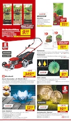 Laterne Angebot & Preis im aktuellen toom Baumarkt Prospekt Laterne Angebot im aktuellen toom Baumarkt Prospekt auf Seite 4