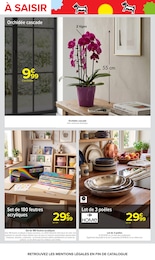 Offre Plante Verte dans le catalogue Carrefour du moment à la page 73