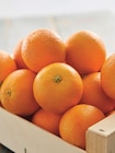 Promo Orange à jus et/ou à dessert à 2,99 € dans le catalogue Intermarché Contact à Grimaud