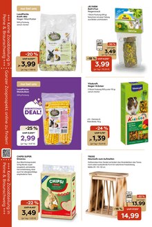 Gemüse im Garten-Center Nordharz GmbH & Co. KG Prospekt "SUMMER TIME!" mit 16 Seiten (Salzgitter)