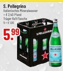 Malztrunk von S. Pellegrino im aktuellen Trinkgut Prospekt für 5,99 €