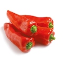Spitzpaprika rot für 1,79 € bei Netto mit dem Scottie im Angebot Spitzpaprika rot im aktuellen Netto mit dem Scottie Prospekt