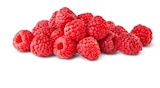 Aktuelles Himbeeren Angebot bei Penny in Dortmund ab 1,49 €