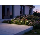 Animaux solaires déco à 4,99 € dans le catalogue Carrefour