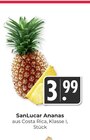 Ananas im Angebot bei Hieber in Freiburg Ananas Angebote von SanLucar bei Hieber Freiburg für 3,99 €