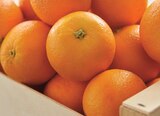 Promo Orange à dessert à 1,99 € dans le catalogue Intermarché Contact à Saint-Aubin