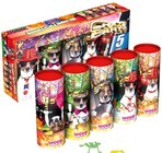 Jugendfeuerwerk "Crazy Party" Angebote von weco bei REWE Mönchengladbach für 4,99 €