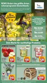 Ähnliche Aquarium Angebote im Prospekt "Dein Markt" von REWE in Brühl Ähnliche Angebote wie Aquarium im Prospekt "Dein Markt" auf Seite 24 von REWE in Brühl