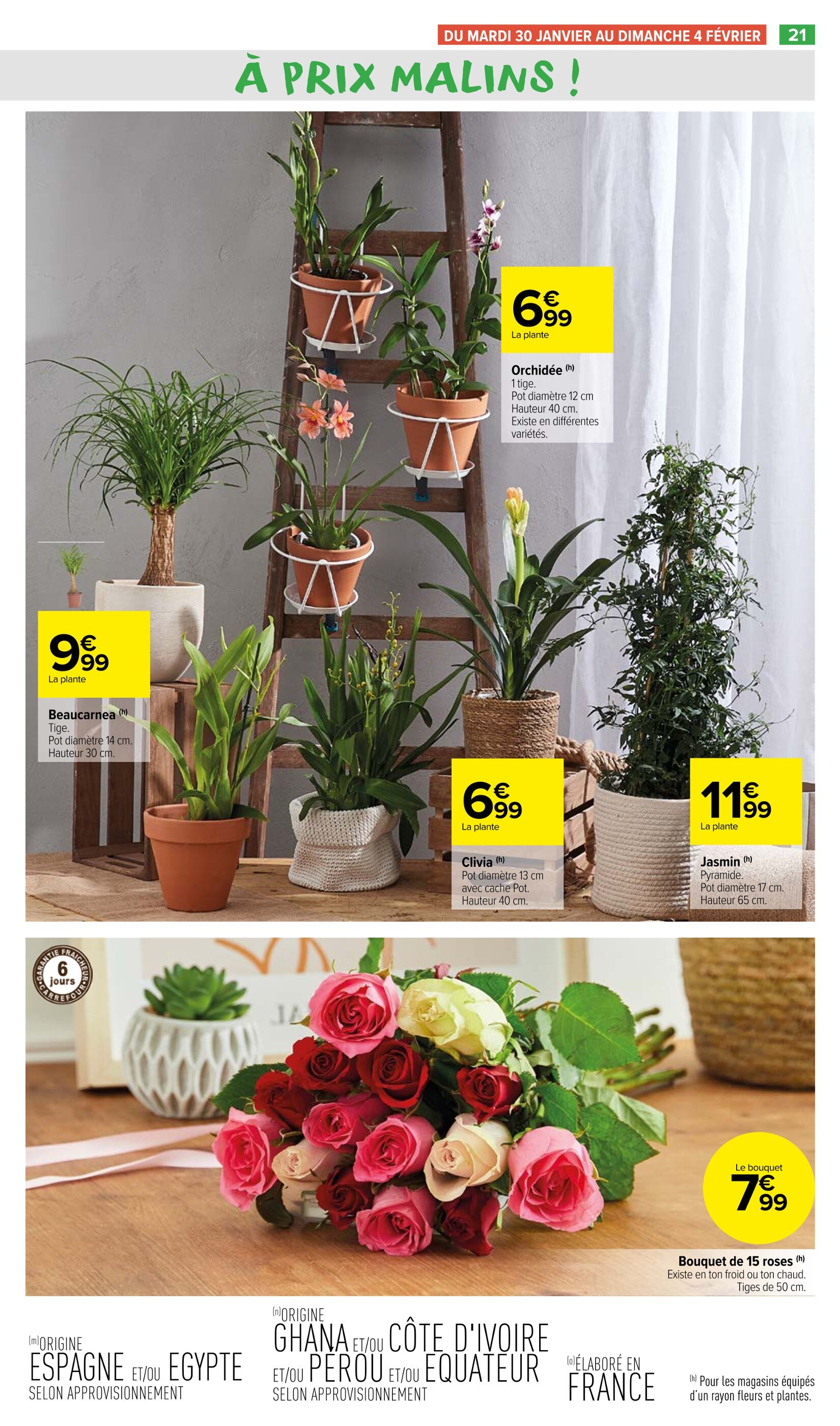 Plante Artificielle Monstera H1,2 M Feuilles De Tortue Réalistes Pot Inclus  à Prix Carrefour