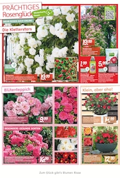 Dünger im Blumen Risse Prospekt in Mönchengladbach Aktueller Blumen Risse Prospekt mit Dünger, "Blütenglück für Ihr Sommerparadies", Seite 2