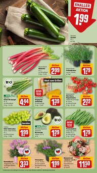 Rhabarber im REWE Prospekt "Dein Markt" mit 22 Seiten (Dresden)